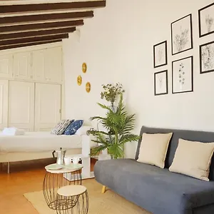Stunning Attic With Private Terrace And Parking Optional Appartement