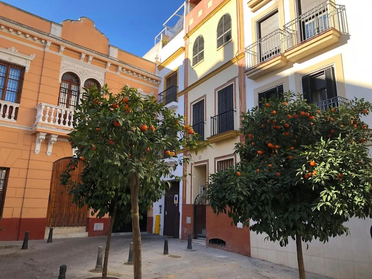Holiday home Unique House - Private Spa&Pool -Stayinseville Spain